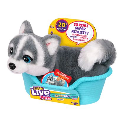 Moose Little Live Pets Really Real Puppy Кученце Хъски Mini Aurora