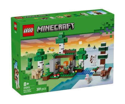 LEGO® Minecraft Първото нощно приключение 21593 