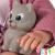 Magic baby кукла Jenny с розова жилетка и коте