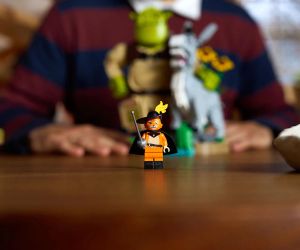 LEGO® Shrek Шрек, магарето и Котаракът в чизми 72423 